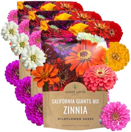 Bulk Zinnia Seeds - California Giants Mix - Bulk 1/4 Pound Bag Over 12,000 Flower Seeds - Mixed Colors and Large Blooms (Pack of 3) by SweetYards