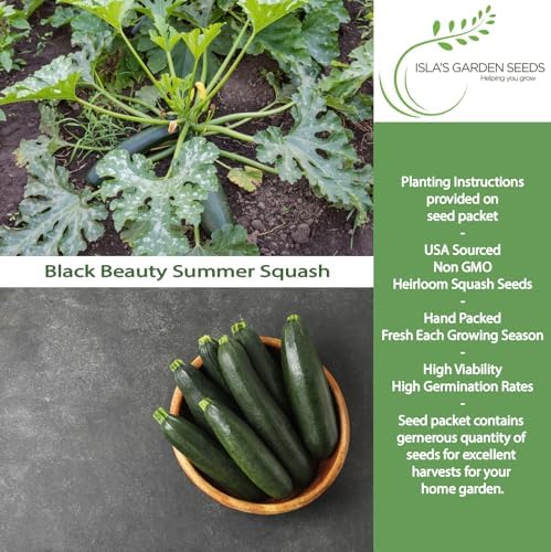 Black Beauty Zucchini Seeds (Cucurbita Pepo) – 25+ Non-GMO & Heirloom Seeds by Isla’s Garden Seeds, Classic Dark-Green Summer Squash Variety w/Tender Flesh & Mild Flavor, Fast-Growing, High-Yielding - Image 2