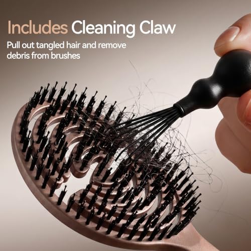 Boar Bristle Hair Brush for Women, Detangler Brush For Fine Hair & Styling - Image 2