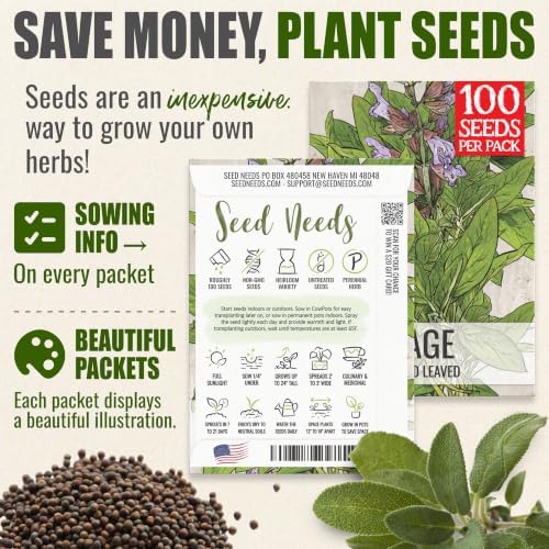 Seed Needs Broad Leaved Sage Seeds to Plant an Herb Garden - 5 Packs - Image 3