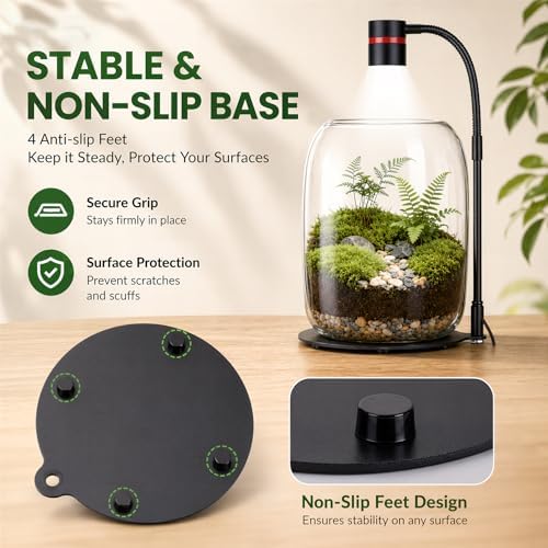 Glass Plant Terrarium with LED Grow Light for Home Office - Image 6