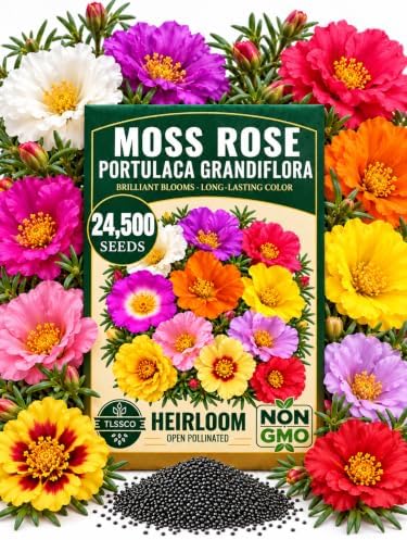 24500 Mix Moss Rose Heirloom Flower Seeds, Bulk Pack, Portulaca Grandiflora by Unknown