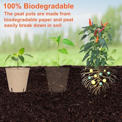 JNYONG 120 Packs 3.15 Inch Peat Pots,Garden Germination Nursery Pots - Image 6