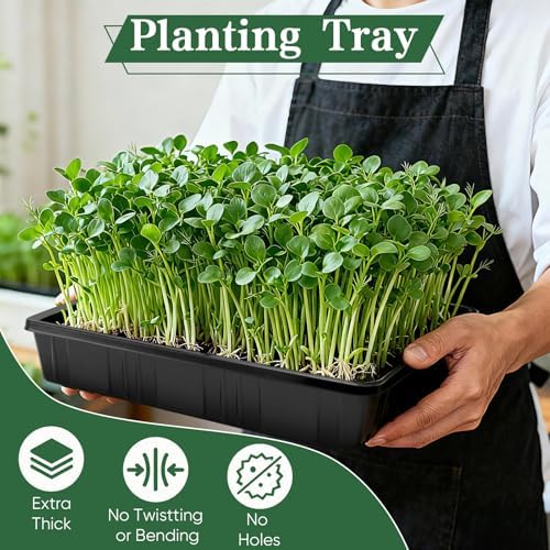 Sckee Upgraded 20 Pack Plant Growing Trays Seed Starting Tray Microgreens Growing Trays Seedling Plant Germination Starter Tray Transplant Fodder Flats, No Holes, No Leakage, Reusable (1015) - Image 2
