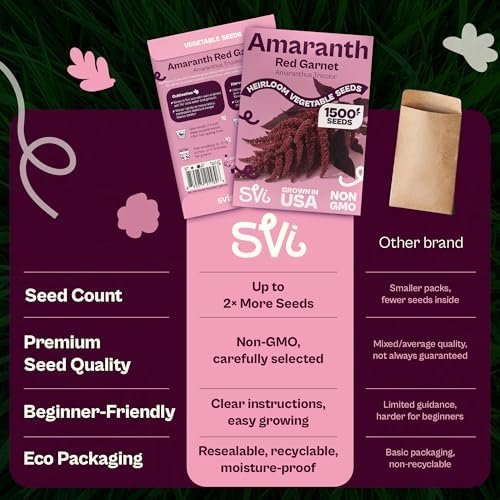 SVI 1500 Red Garnet Amaranth Seeds (Amaranthus Tricolor) – Josephs Coat Plant Seed Packets Bulk, Deep Red Amaranthus Flower – Heirloom Vegetable Seeds for Outdoor Garden, Vegetable Garden, Containers - Image 6