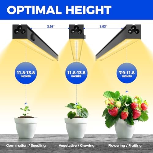 Barrina Grow Lights for Indoor Plant, T5 1FT Full Spectrum, Yellow, 4 Packs - Image 6