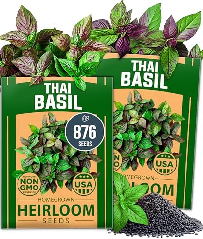 HOME GROWN Thai Basil Seeds, 876 Seeds, Ocimum basilicum var. thyrsiflora by HOMEGROWN