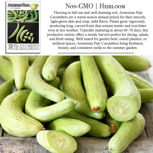 Armenian Pale Green Cucumber Seeds (Cucumis sativus) – 100+ Non-GMO & Heirloom Seeds for Planting, Long Crisp Light-Green Cucumbers for Fresh Eating & Salads, by Isla’s Garden Seeds, Gift Idea - Image 3