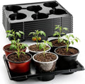 RooTrimmer 6 Cell Round Nursery Pot Trays for 6 Inch Pots, Thickened Sturdy Seedling Pot Shuttle Tray, Durable Nursery Pots Carrying Tray for Holding 6 Inch Plastic Plant Pots(17.08"×13.14", 10-Pack) by RooTrimmer