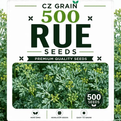 Garden Seeds for Planting, 500 Rue by CZGrain