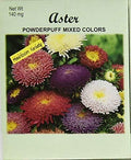 Set of 100 Aster Powderpuff Flower Seed Packets! Flower Seeds in Bulk (100, Aster Powderpuff) by BlackDuckBrand