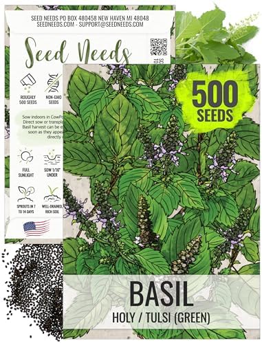 Seed Needs Holy Basil Seeds to Plant an Herb Garden - 1 Pack by SeedNeeds