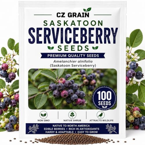 Saskatoon Serviceberry Seeds for Planting Native Berry 100 Premium Seeds by CZGrain