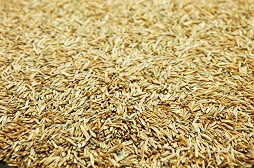 ProTurf Perennial Ryegrass Fine Lawn Seed by Eretz (5lb) - Choose Size! Premium Willamette Valley, Oregon Grown Grass Seed - Image 2