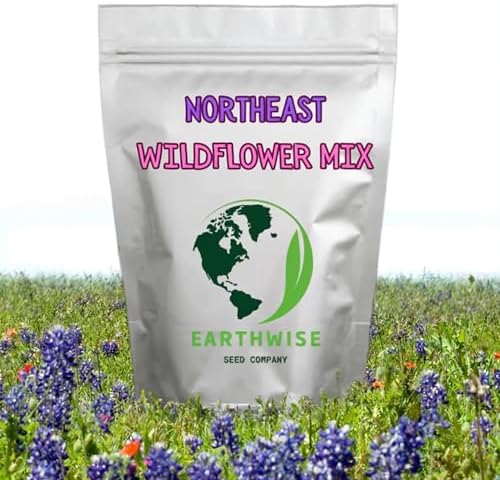 Earthwise Northeast Native Wildflower Seed Mix - 1/4 lb, 500 sq ft - Image 2