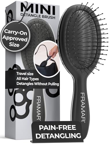 FRAMAR Mini Hair Brush Detangler, Mini Brush For Hair, Compact For Travel by FRAMAR