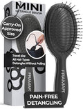 FRAMAR Mini Hair Brush Detangler, Mini Brush For Hair, Compact For Travel by FRAMAR
