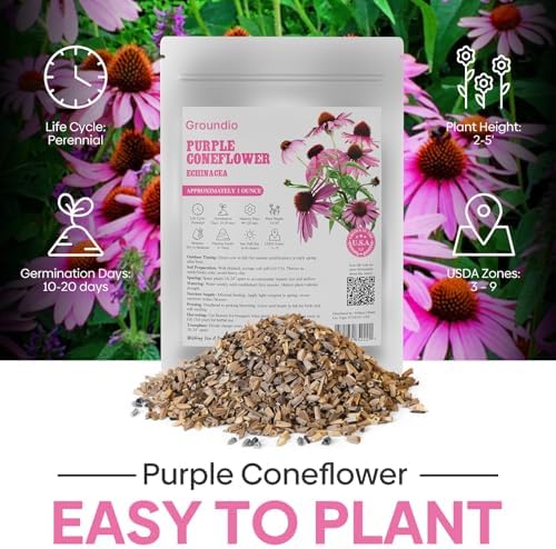 Purple Coneflower Seeds 1OZ Perennial Flower Seed for Planting - Echinacea - Image 4