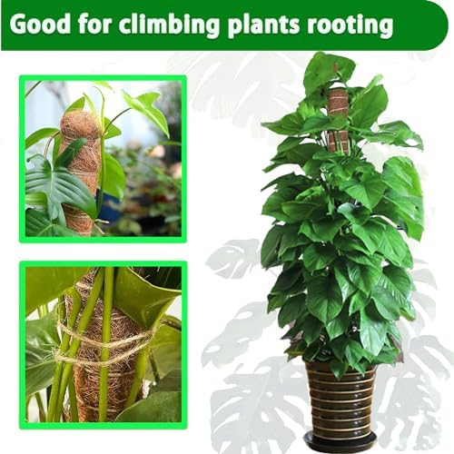 Moss Pole, 2 Pack 17 Inch Monstera Plant Support for Climbing Plants Accessories Indoor, Stackable Moss Poles Plant Support Stakes, Coir Plant Pole Sticks for Potted Plants, Pothos, Philodendron - Image 4