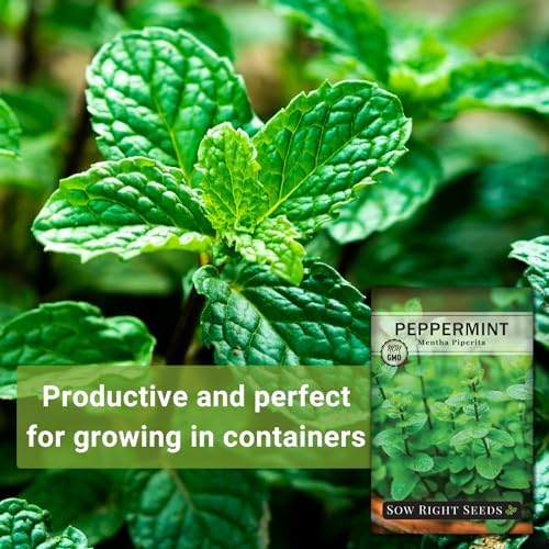 Sow Right Seeds - Peppermint Seed for Planting Perennial Herb Garden 3pk - Image 3