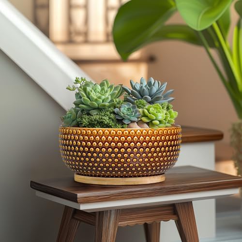Bonsai Pots - 8 Inch Succulent Bowl for Indoor Plant, Shallow Round Ceramic Planters with Drainage Hole and Saucer, Boho Home Room Office Apartment Decor, Plant Lovers Gifts, Brown - Image 5