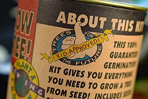 Giant Sequoia | Tree Seed Grow Kit | The Jonsteen Company - Image 4