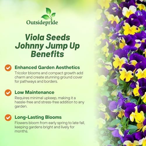 Outsidepride Johnny Jump Up Viola Wild Flower Seeds - 1/2 lb Easy-to-Grow, Compact & Hardy Perennial Seeds for Planting Outdoors, Ideal for Pollinators, Garden Beds, Containers, & Hanging Baskets - Image 3