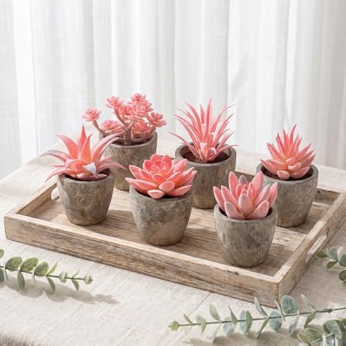 Woration 6Pcs Small Artificial Pink Succulent Set Fake Flocking Succulents Plants Potted Floral Arrangement for Shelf Office Home Desk Decorations - Image 6