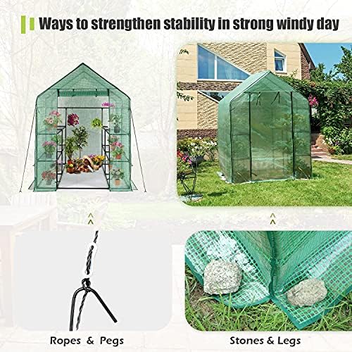 Walk-in Greenhouse - 3 Tiers 8 Shelves Plant Stands, Outdoor With Anchors Roll-up Zipper Door, Waterproof Gardening, PE Cover, 56"x56"x77" - Image 4