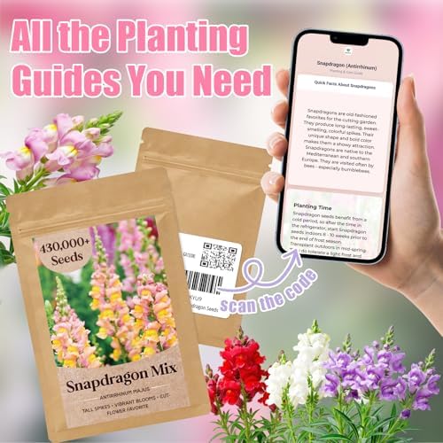 430,000+ Mixed Snapdragon Seeds for Planting, Antirrhinum majus - Image 5