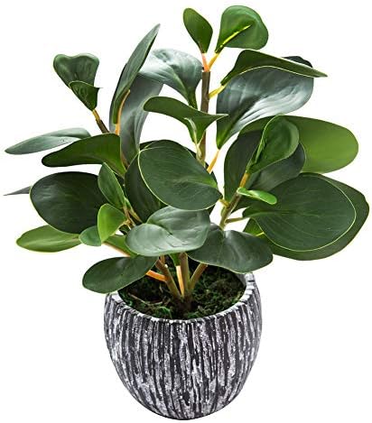 AlphaAcc Fake Faux Fiddle Leaf Fig Cement Planter Housewarming Desk Decor by AlphaAcc