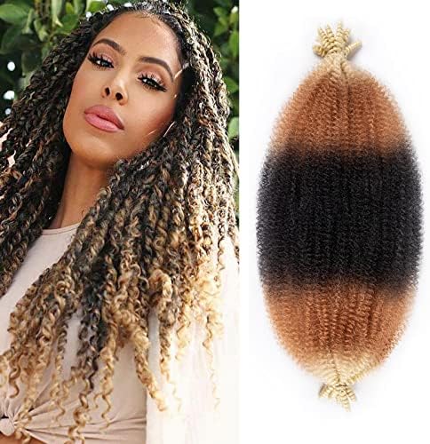 24 Inch Pre-Separated Springy Afro Twist Hair 8 Packs Black Pre-Fluffy Natural Curls are Perfect for Marley Crochet Hair Suitable for Black Women (1b / 27/613, 24 Inch (Pack of 8)) by Celie