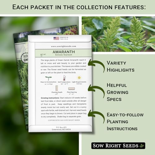 Sow Right Seeds - Amaranth Seed Collection for Planting Alternative Grain - Image 2