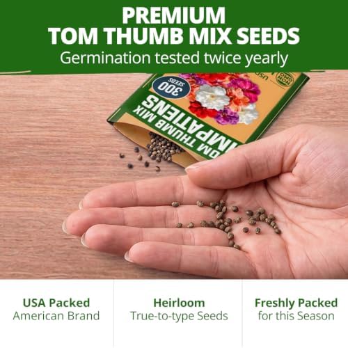 HOME GROWN Impatiens Seeds, Tom Thumb Mix, 300 Seeds, Impatiens balsamina - Image 7