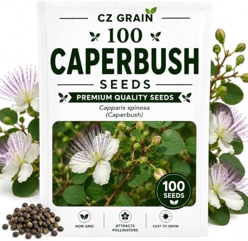 Caperbush Seeds to Grow | Edible Capers | Mediterranean Shrub | 100 Seeds by CZGrain