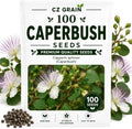 Caperbush Seeds to Grow | Edible Capers | Mediterranean Shrub | 100 Seeds by CZGrain