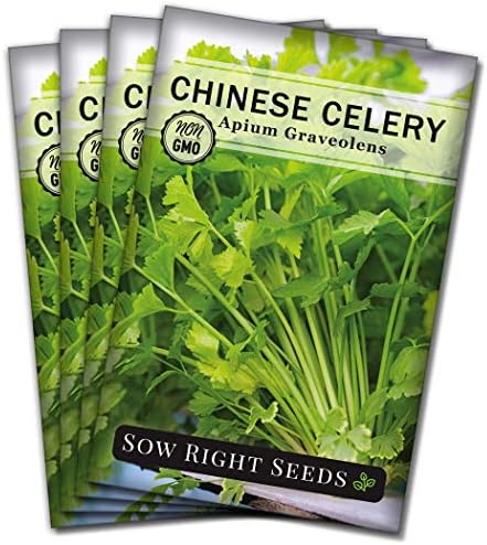 Sow Right Seeds - Chinese Celery Seed for Planting Outdoor Vegetable 4pk by SowRightSeeds