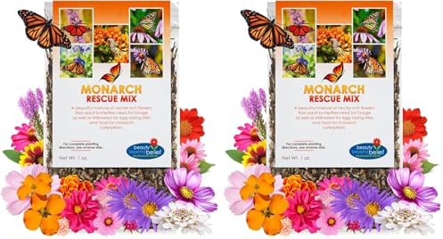 BBB Seed Monarch Butterfly Wildflower Seeds, Milkweed Mix, 1 oz (Pack of 2) by BBBSEED