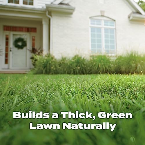 Scotts Natural Lawn Food, Lawn Fertilizer, For All Grass Types, Apply Any Season, OMRI Listed, Covers 4,000 sq. ft., 29.1 lbs. - Image 4