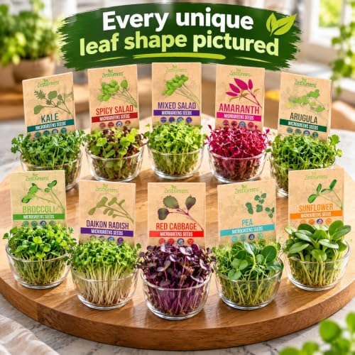 Microgreen Seeds - USA Premium 10 Variety Seeds Pack - Image 5