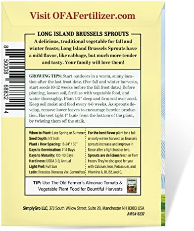 The Old Farmer's Almanac Heirloom Brussels Sprouts Seeds (Long Island Improved) - Approx 700 Seeds - Non-GMO, Open Pollinated, USA Origin - Image 3