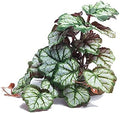Woyrise Artificial Reptile Plants for Terrarium, Habitat Decor, Fake Plant by Woyrise
