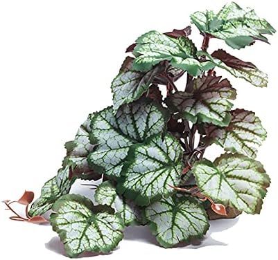 Woyrise Artificial Reptile Plants for Terrarium, Habitat Decor, Fake Plant by Woyrise