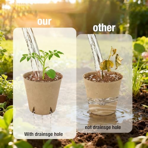 Peat Pots for Seedlings, Seed Starter Pots, 40 Pcs 3.15 Inch, Biodegradable Plant Starter Nursery Pots with Drainage Holes, Organic Round Planting Pots for Vegetables Herbs - Image 3