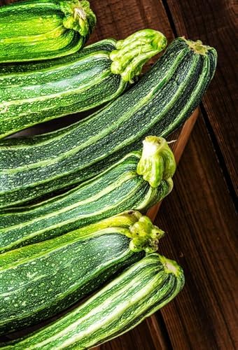 Cocozelle Zucchini Seeds - 540+ Count - for 2026 Planting Italian Striped Summer Squash Heirloom Zucchinis Napoli Costata Romanesco Garden Vegetable Grow Your Own Home Farm Patio - Image 3