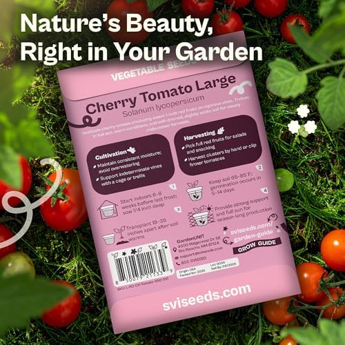 SVI 550 Large Red Cherry Tomato Seeds (Solanum lycoperscium) – Cherry Tomatoes Seed Packets, Mini Tomatoes On The Vine – Heirloom Vegetable Seeds in Home Garden, Containers, Greenhouses - Image 2