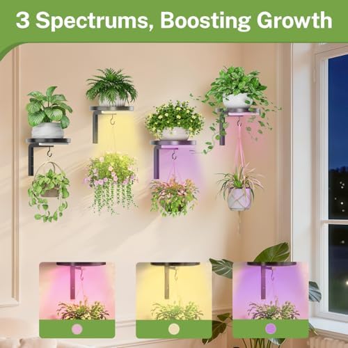 Plant Wall Hanger with Grow Lights Set of 4 for Indoor, Black - Image 5