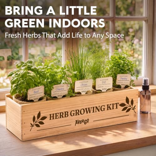 Indoor Herb Garden Kit, Herb Growing Kit for Kitchen and Windowsill - Image 5