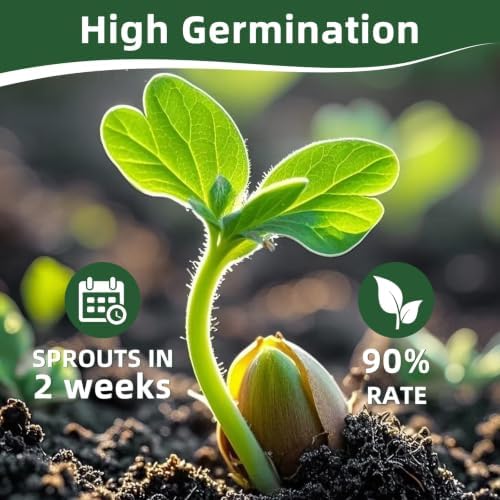 Fall Winter Vegetable Heirloom Seeds | 40 Varieties | 20,000+ High Yield Garden Seeds | Sweet Basil, Cherry Tomato, Romaine Lettuce & More | 2026 Season | for Indoor & Outdoor Home Planting - Image 5