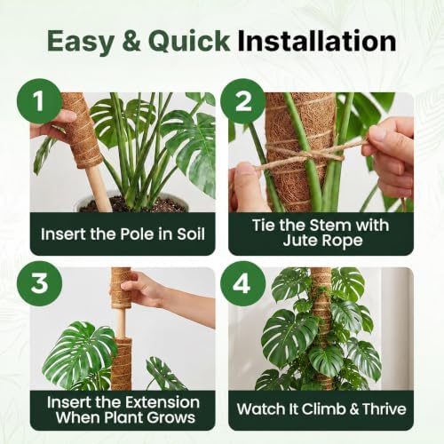 4 Pack 22" Moss Pole Monstera Plant Support - Stackable up to 70" - Image 5